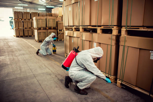 Best Affordable Pest Control Services  in Brownsboro, TX