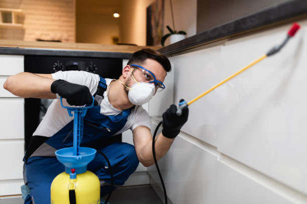 Best Affordable Pest Control Services  in Brownsboro, TX