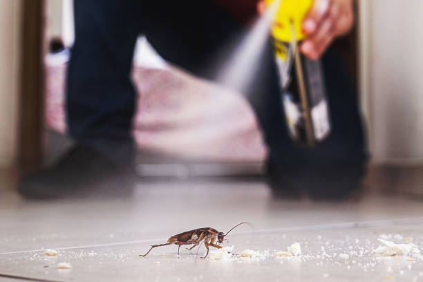 Best Pest Control Near Me  in Brownsboro, TX