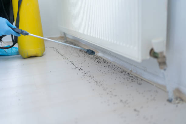 Best Pest Prevention Services  in Brownsboro, TX