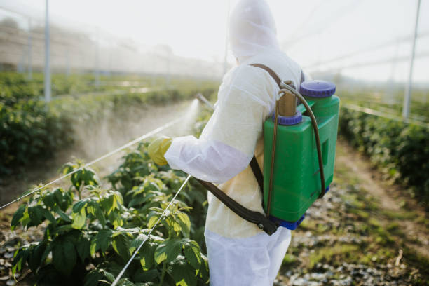 Best Mosquito Control Services  in Brownsboro, TX